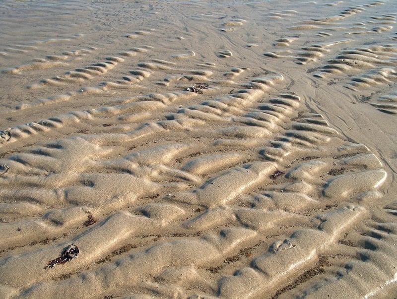 Zen garden rake