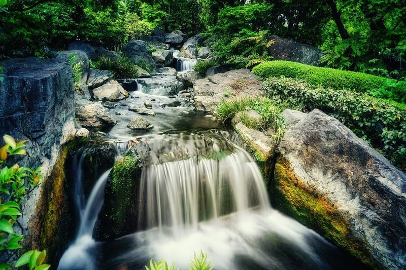 Zen Garden Starter Kit