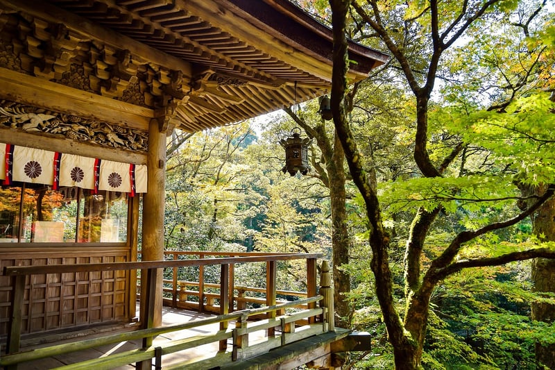 Japanese Lanterns